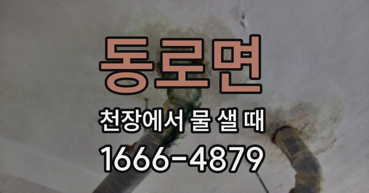 동로면 천장에서 물 샐 때