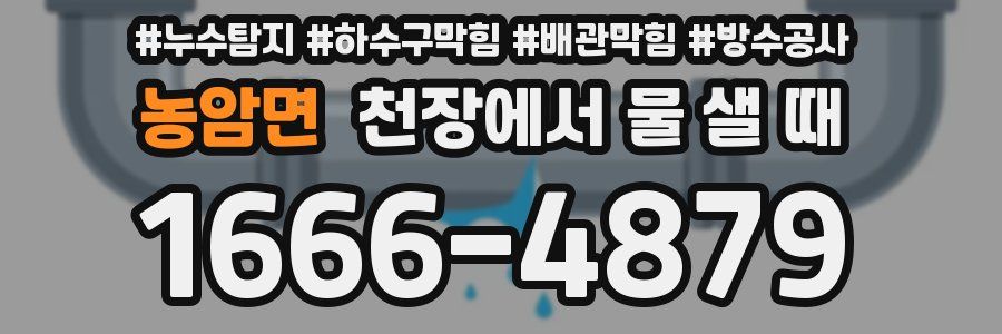 농암면 천장에서 물 샐 때
