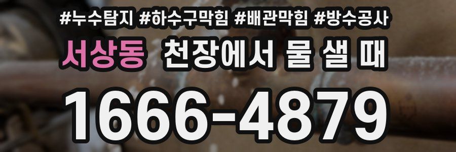 서상동 천장에서 물 샐 때