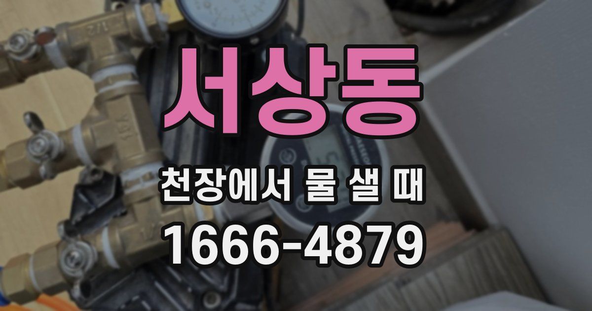 서상동 천장에서 물 샐 때
