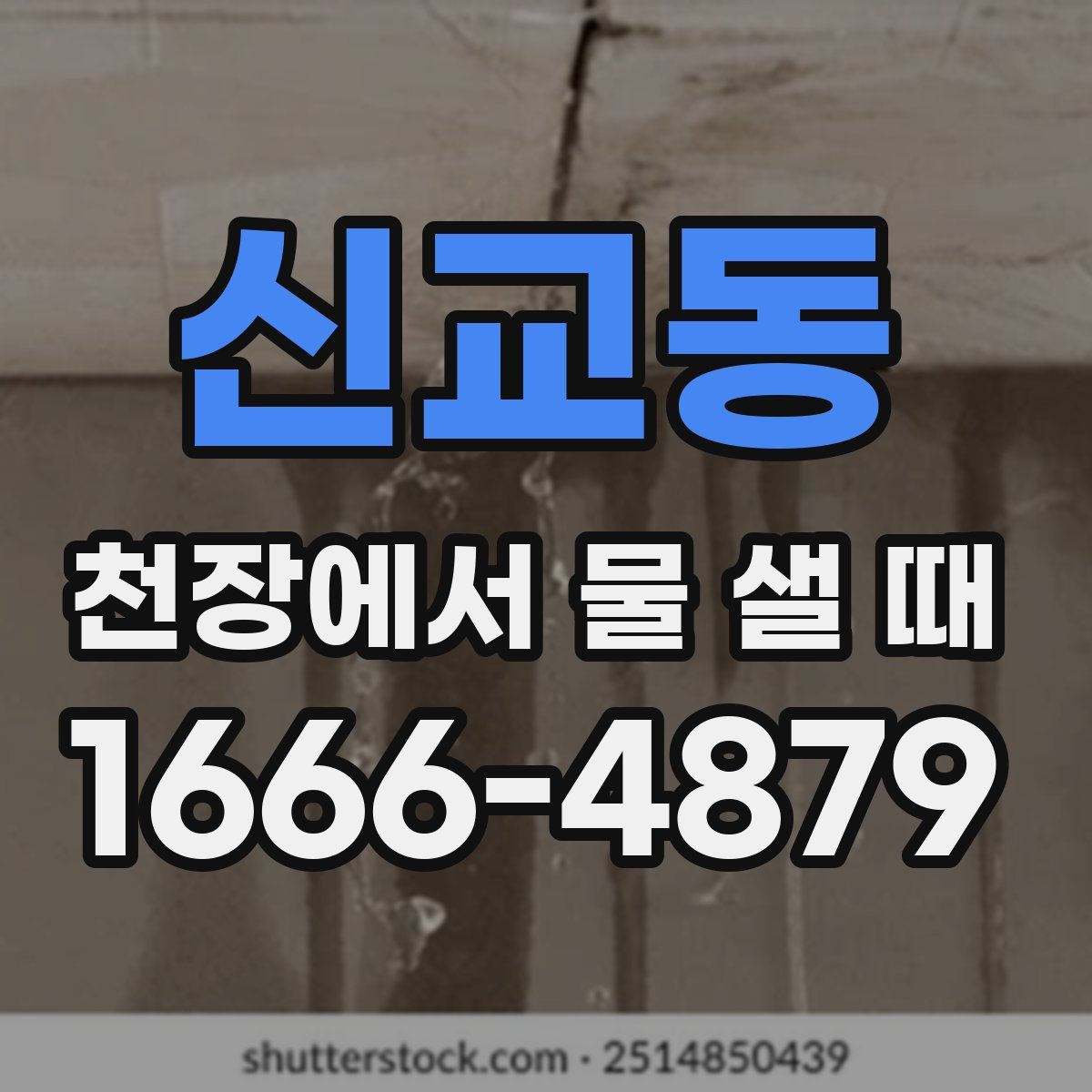 신교동 천장에서 물 샐 때