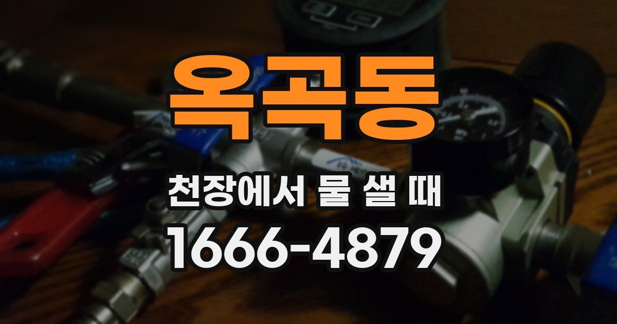 옥곡동 천장에서 물 샐 때