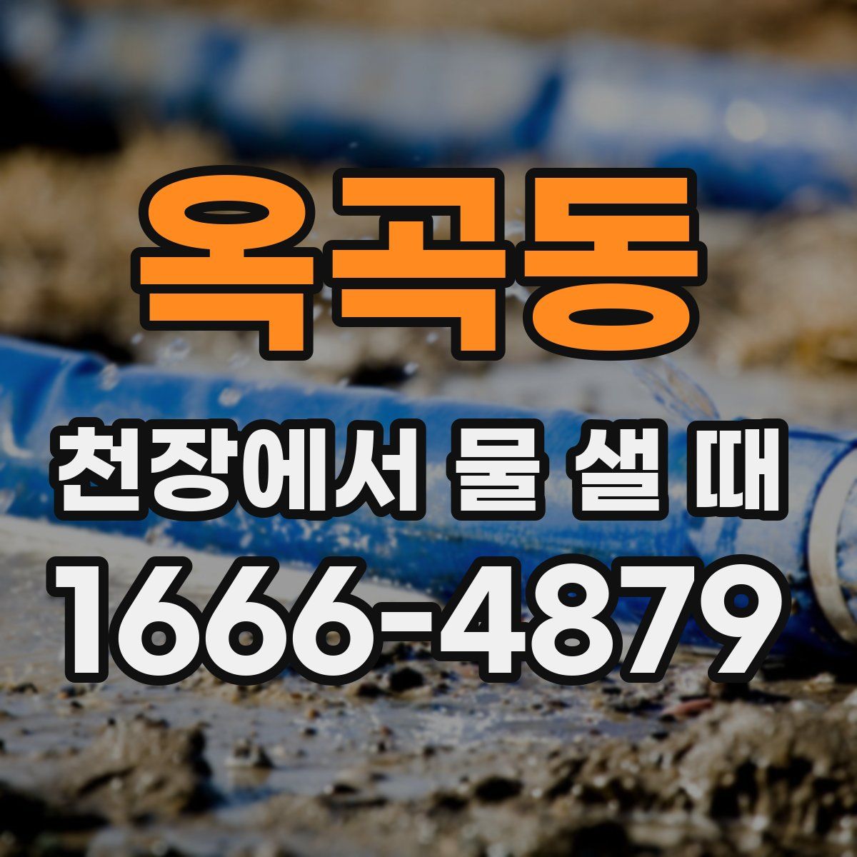 옥곡동 천장에서 물 샐 때