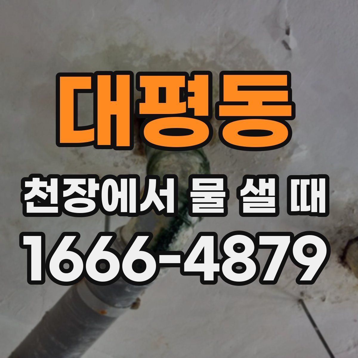 대평동 천장에서 물 샐 때