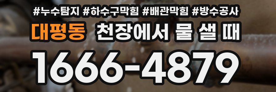 대평동 천장에서 물 샐 때