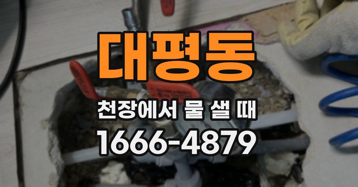 대평동 천장에서 물 샐 때