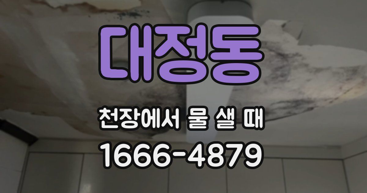 대정동 천장에서 물 샐 때