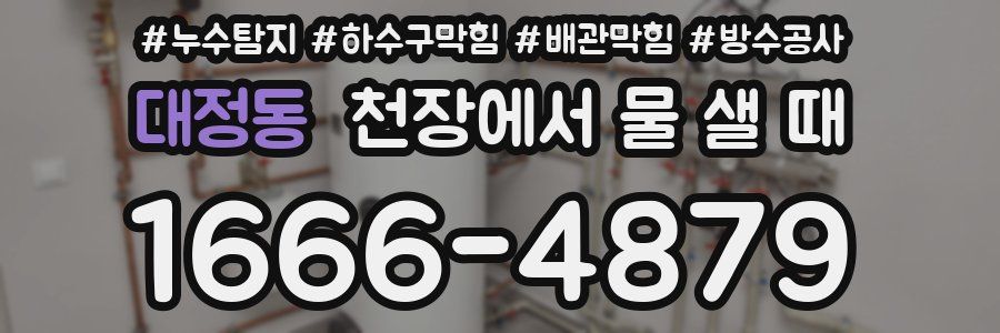 대정동 천장에서 물 샐 때