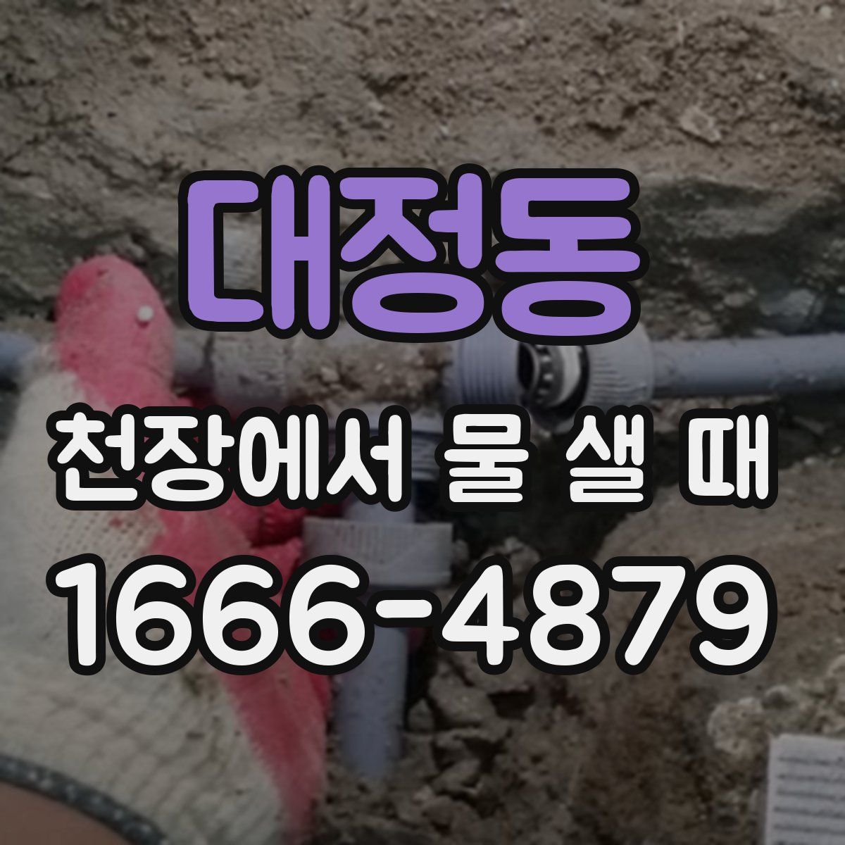 대정동 천장에서 물 샐 때