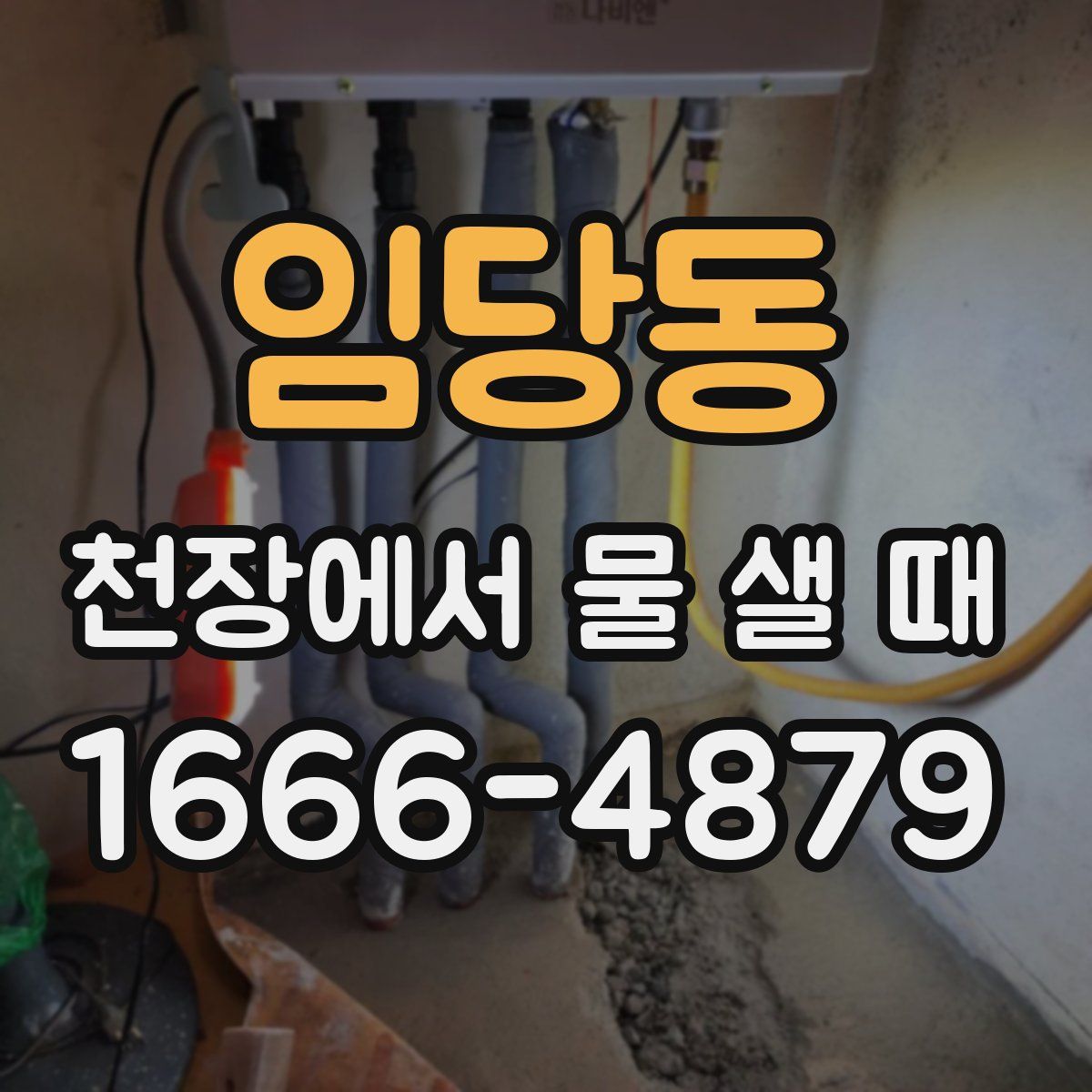 임당동 천장에서 물 샐 때
