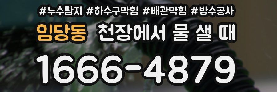 임당동 천장에서 물 샐 때