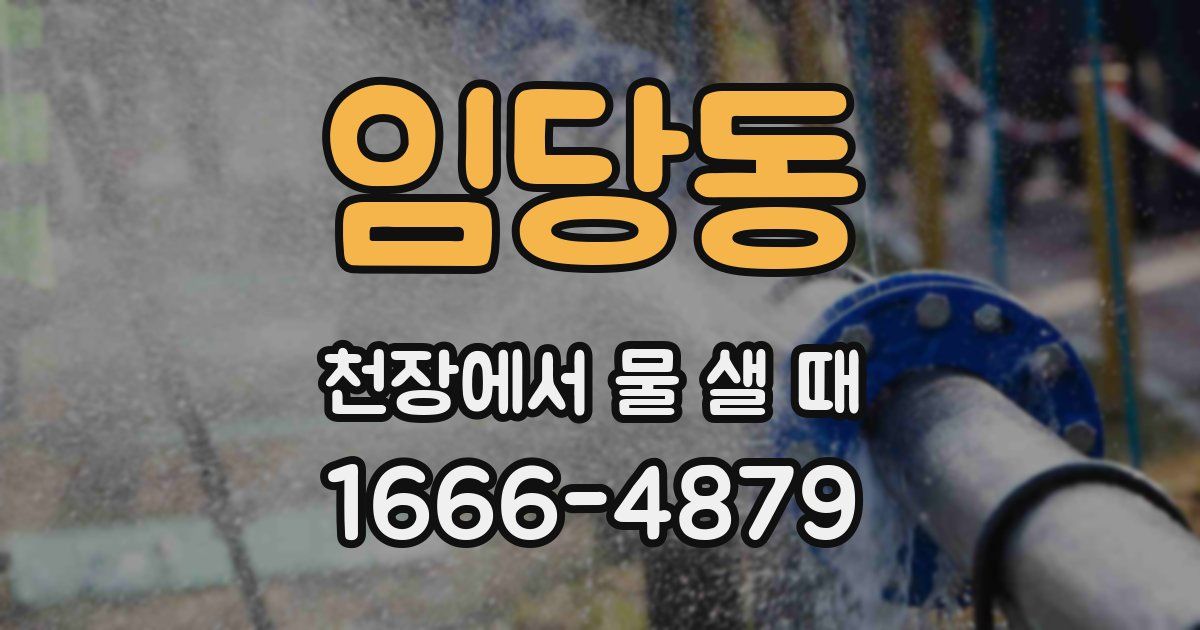 임당동 천장에서 물 샐 때