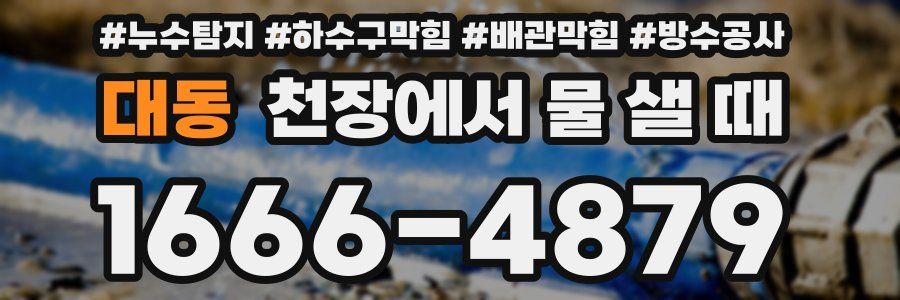 대동 천장에서 물 샐 때