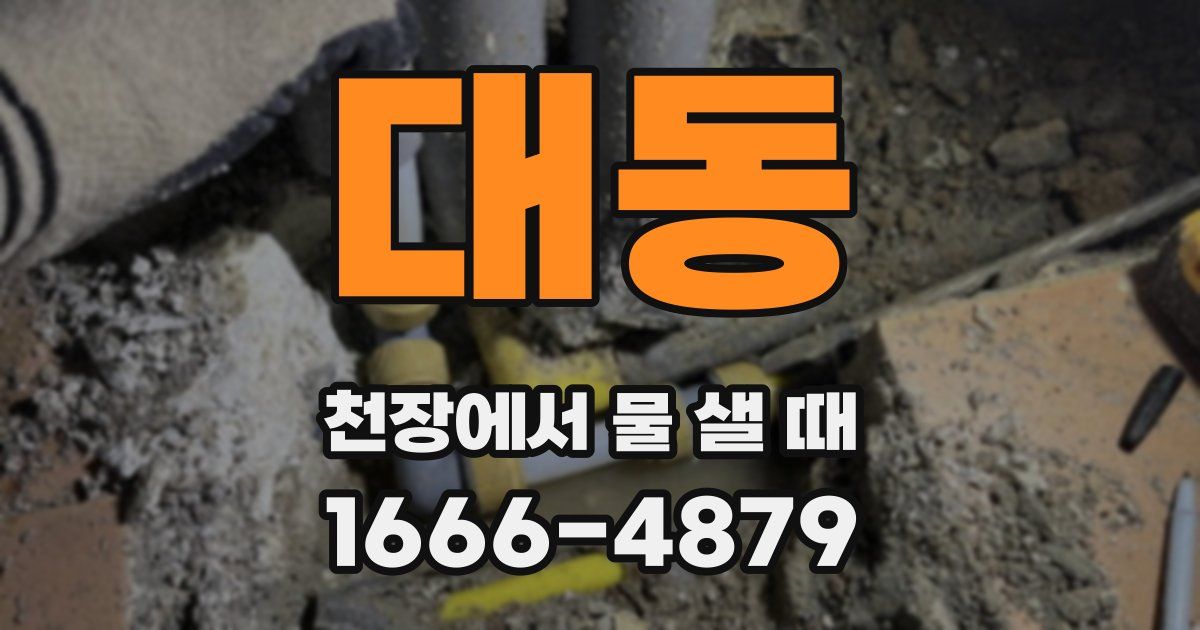 대동 천장에서 물 샐 때