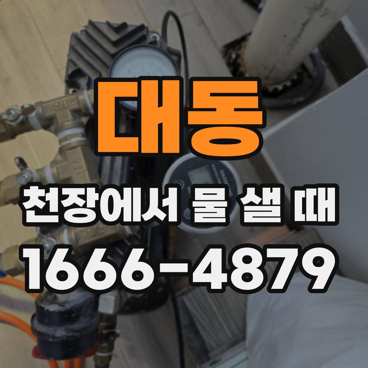 대동 천장에서 물 샐 때