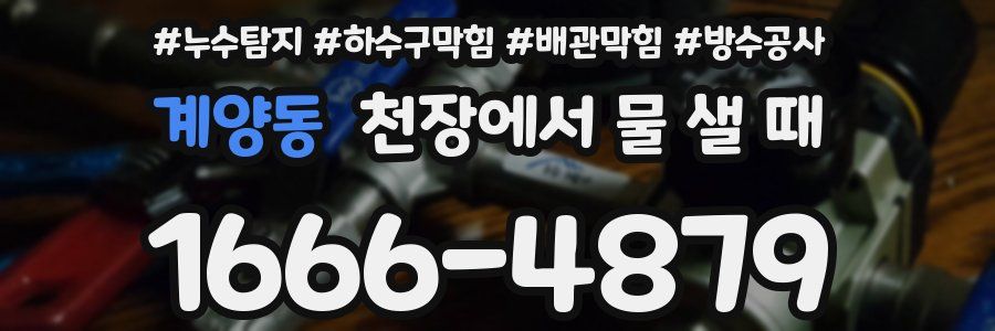 계양동 천장에서 물 샐 때