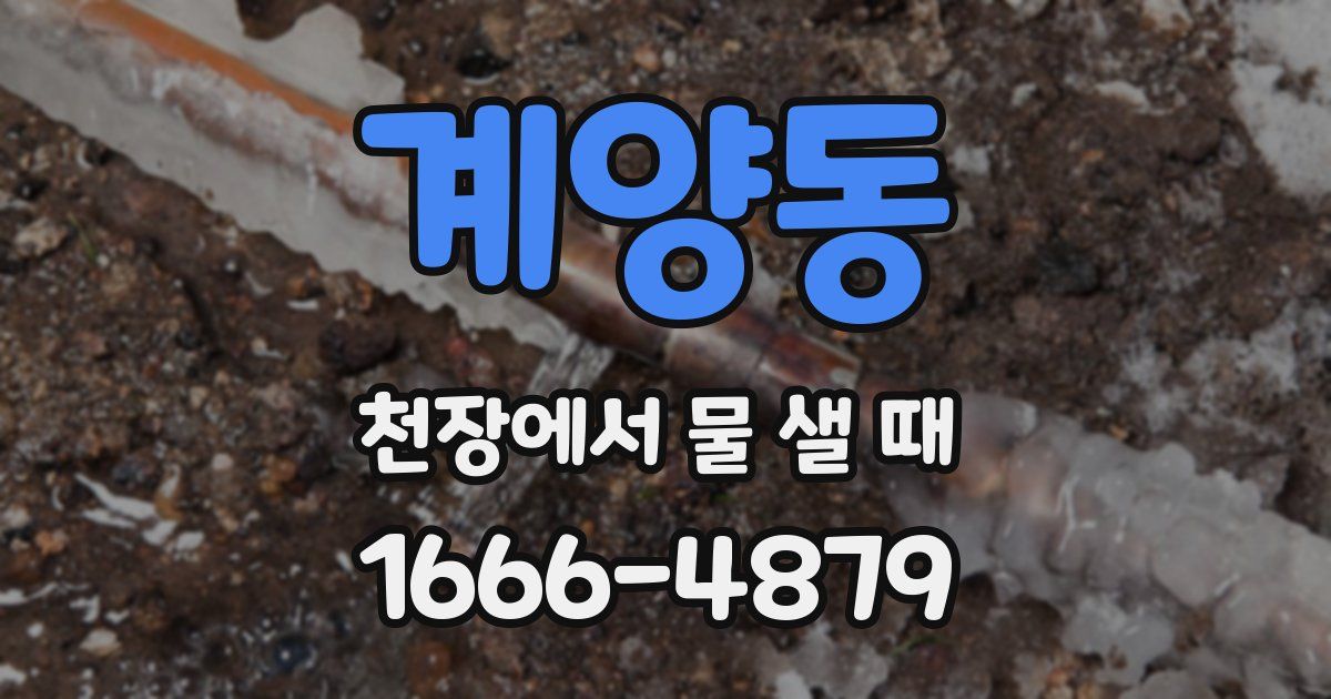 계양동 천장에서 물 샐 때