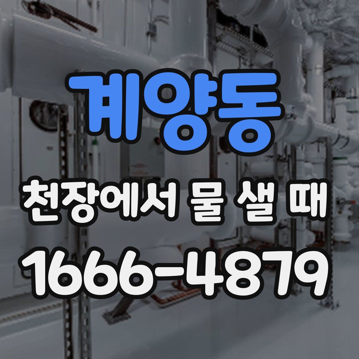 계양동 천장에서 물 샐 때