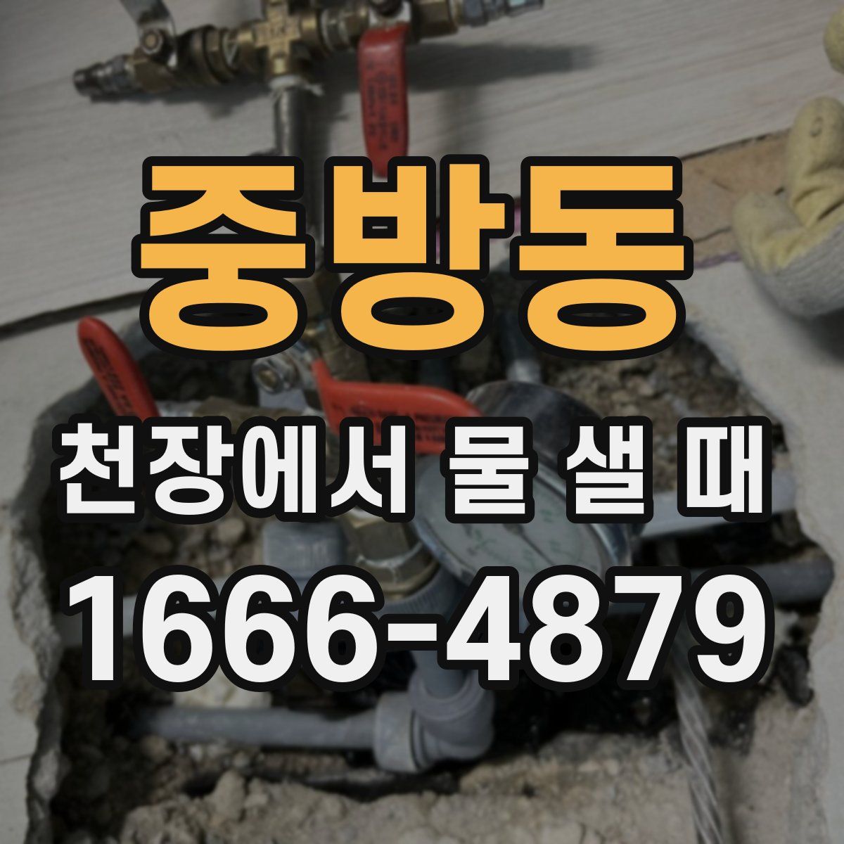 중방동 천장에서 물 샐 때