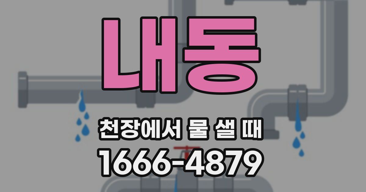 내동 천장에서 물 샐 때