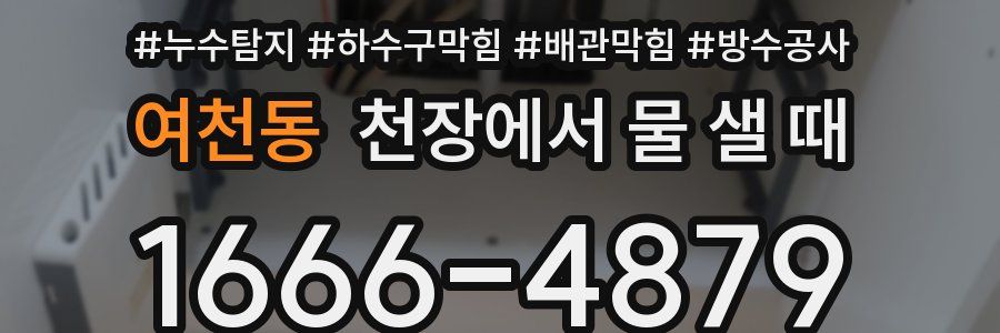 여천동 천장에서 물 샐 때