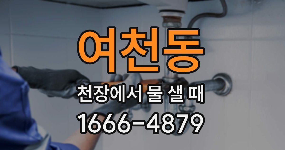 여천동 천장에서 물 샐 때