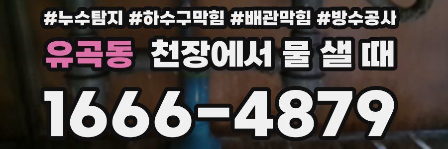 유곡동 천장에서 물 샐 때