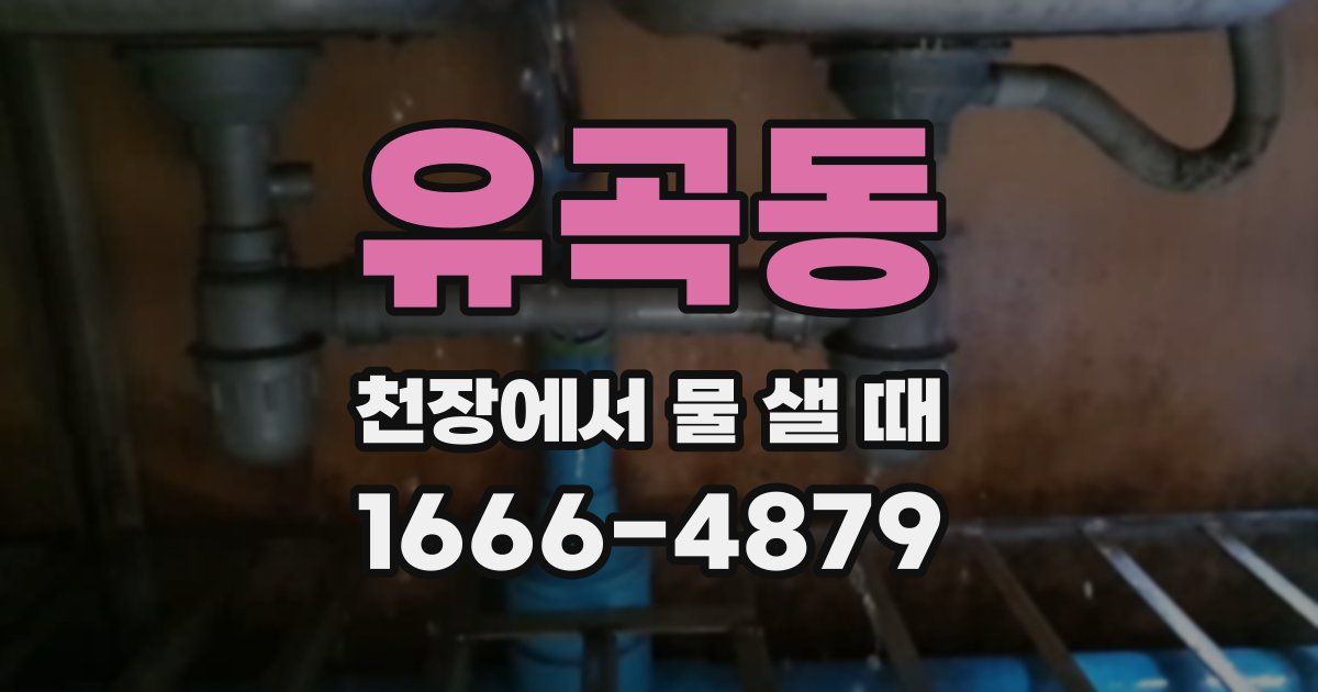 유곡동 천장에서 물 샐 때