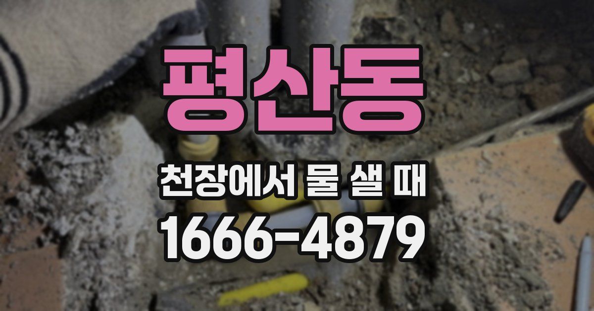 평산동 천장에서 물 샐 때