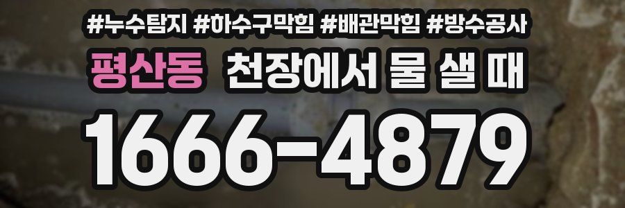 평산동 천장에서 물 샐 때