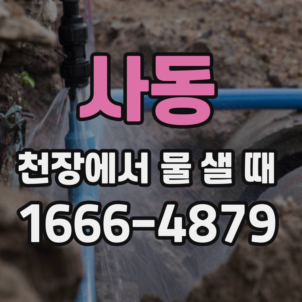 사동 천장에서 물 샐 때