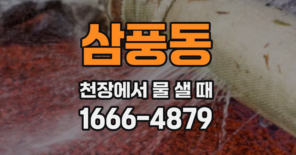 삼풍동 천장에서 물 샐 때