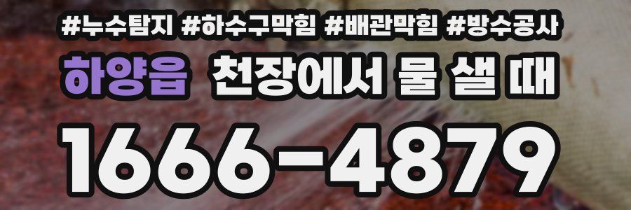 하양읍 천장에서 물 샐 때