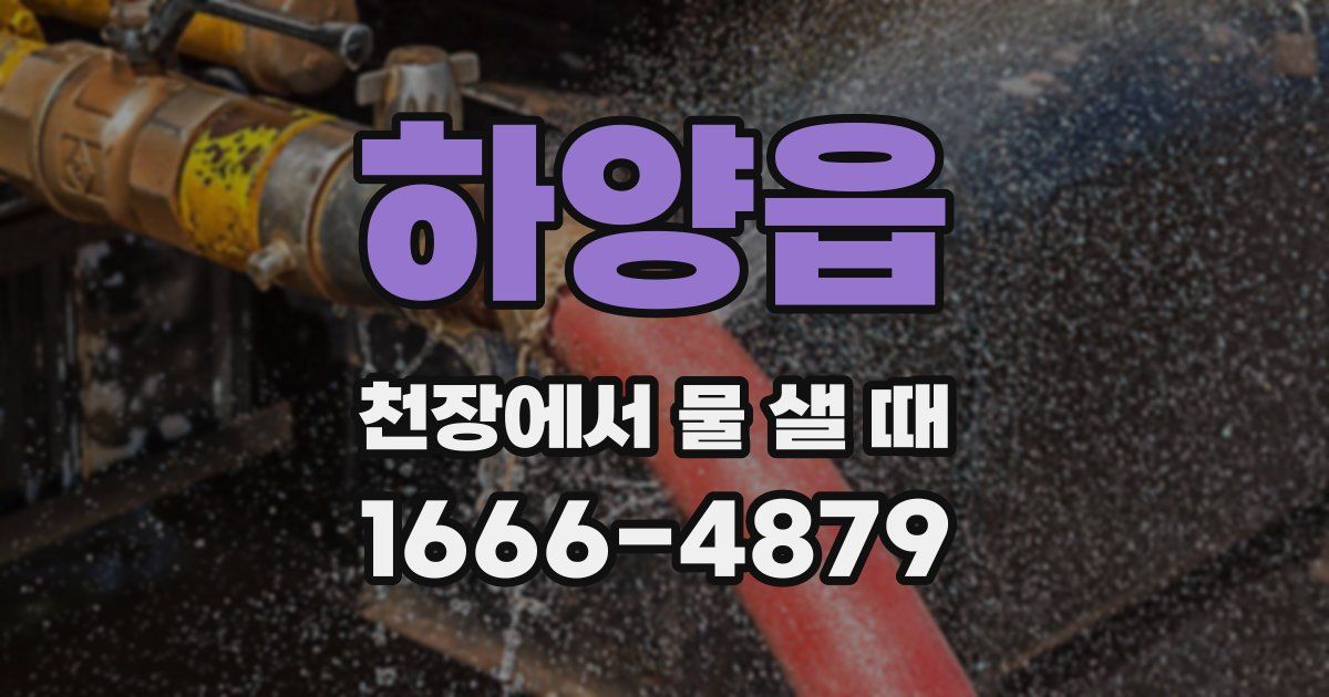 하양읍 천장에서 물 샐 때
