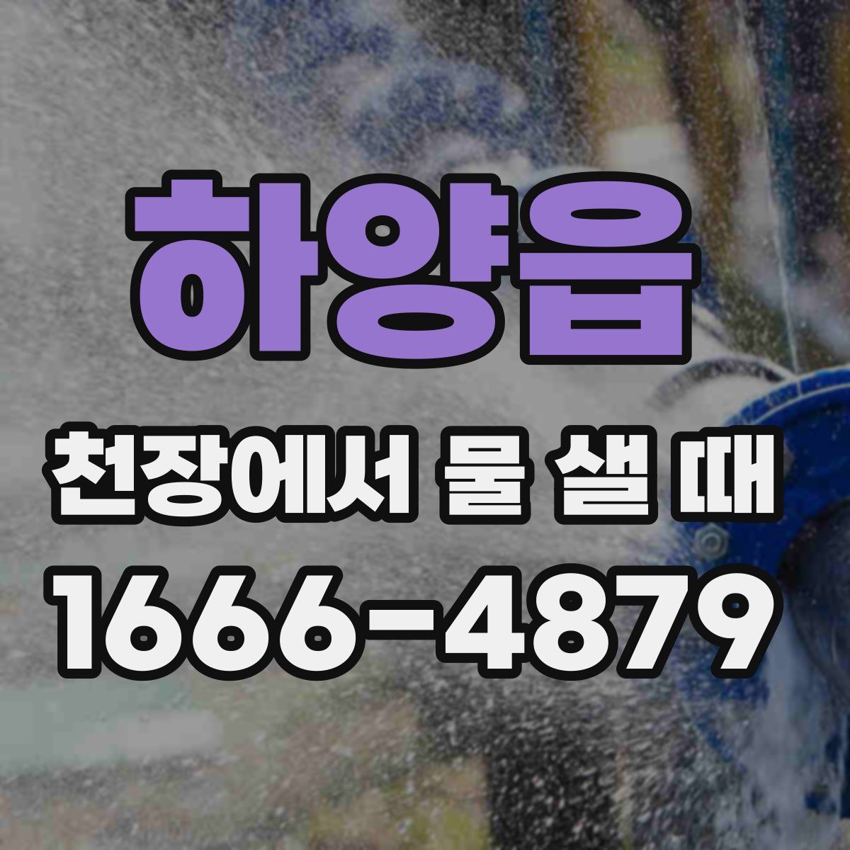 하양읍 천장에서 물 샐 때