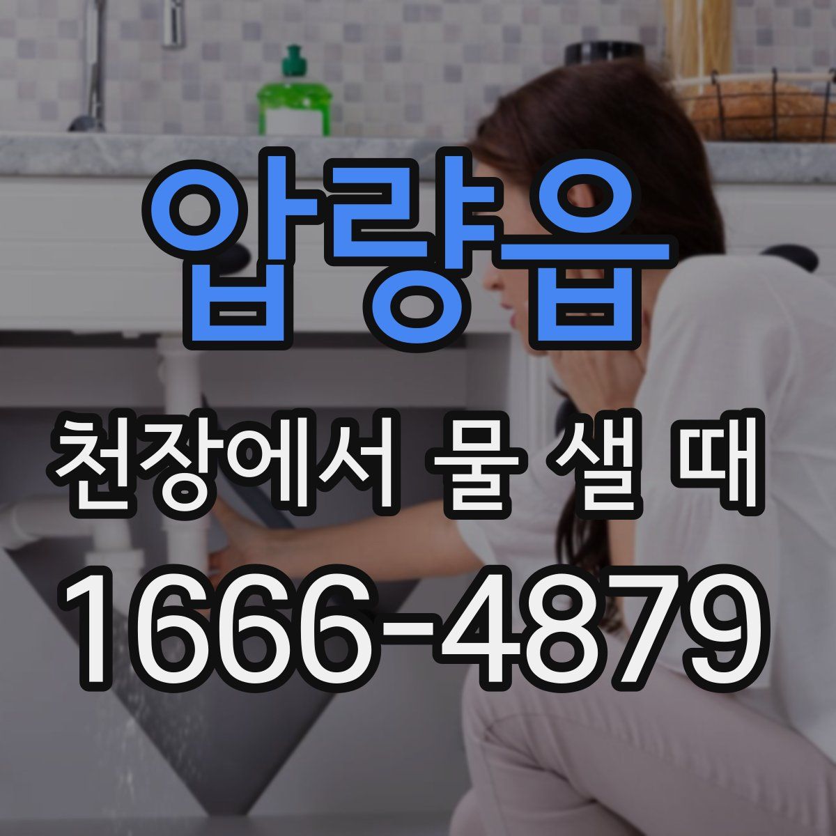 압량읍 천장에서 물 샐 때