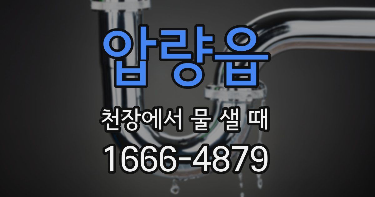 압량읍 천장에서 물 샐 때