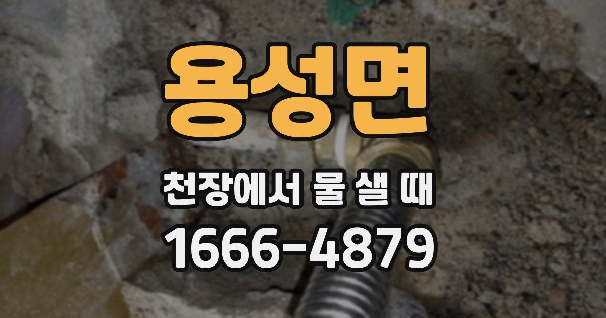 용성면 천장에서 물 샐 때