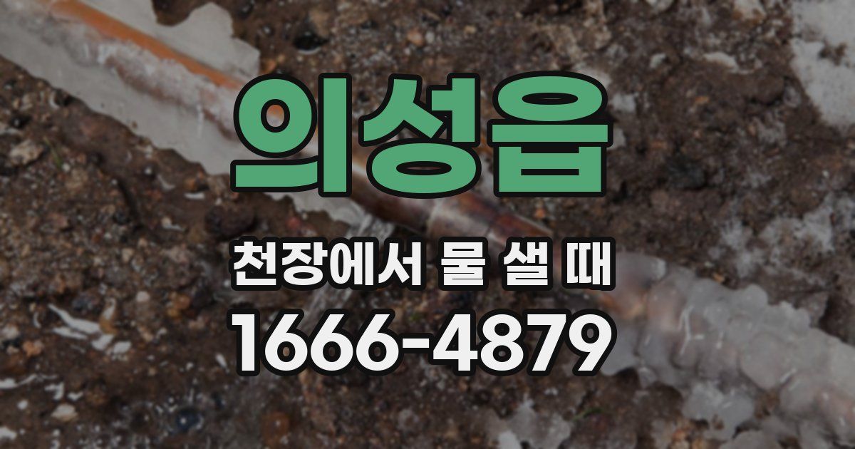 의성읍 천장에서 물 샐 때