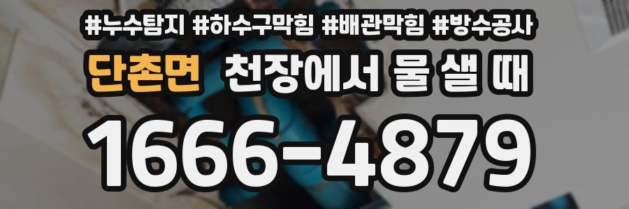 단촌면 천장에서 물 샐 때