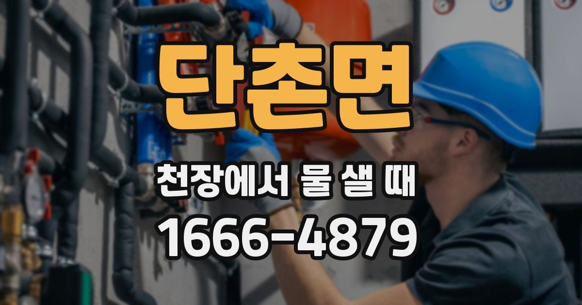 단촌면 천장에서 물 샐 때