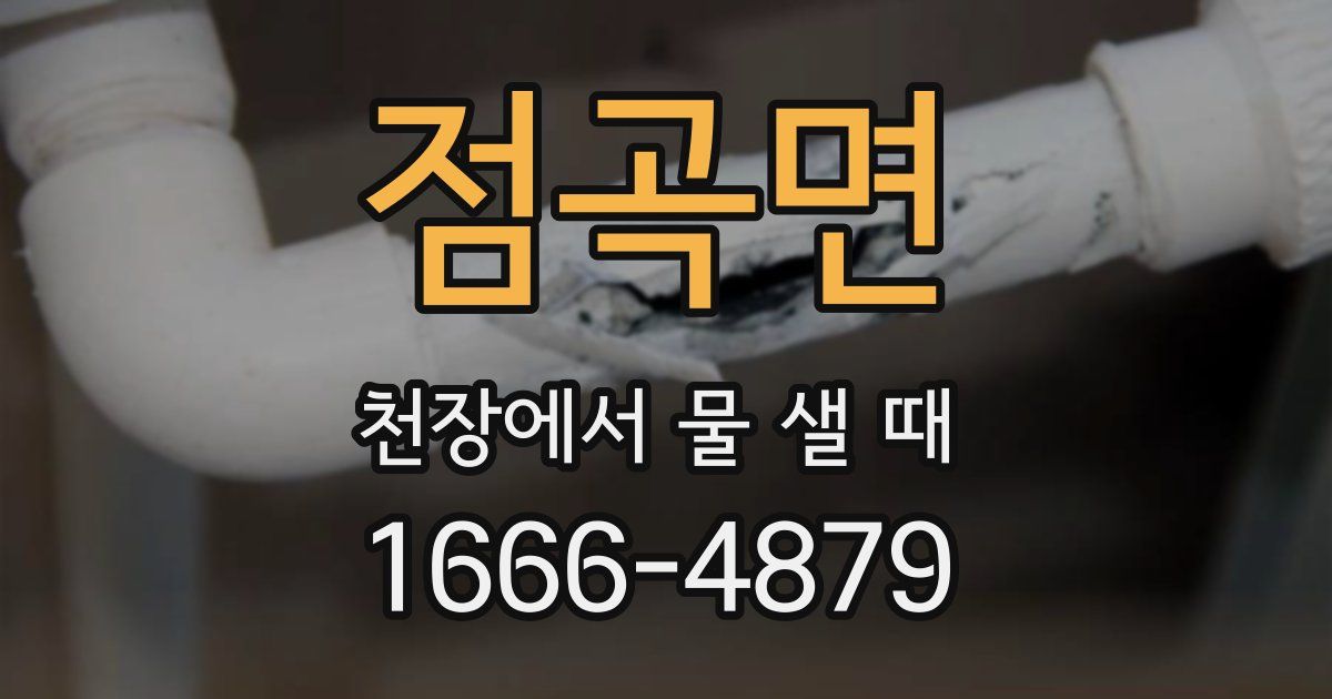 점곡면 천장에서 물 샐 때