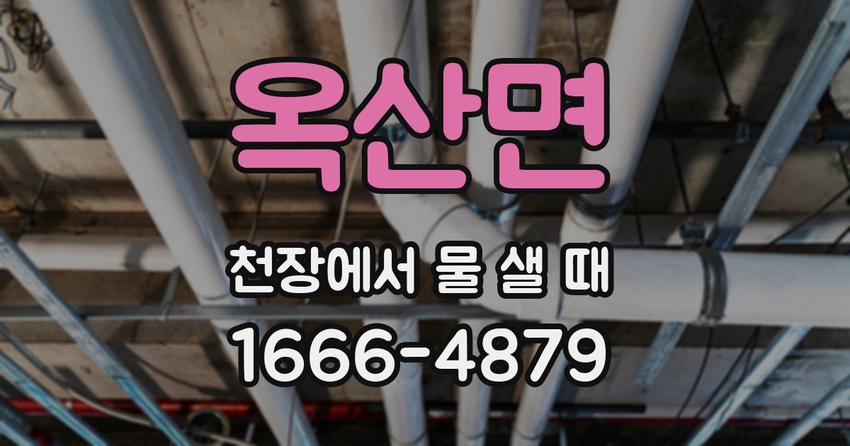 옥산면 천장에서 물 샐 때