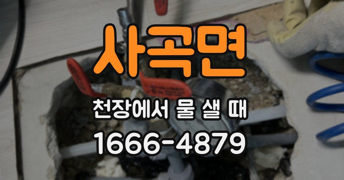 사곡면 천장에서 물 샐 때