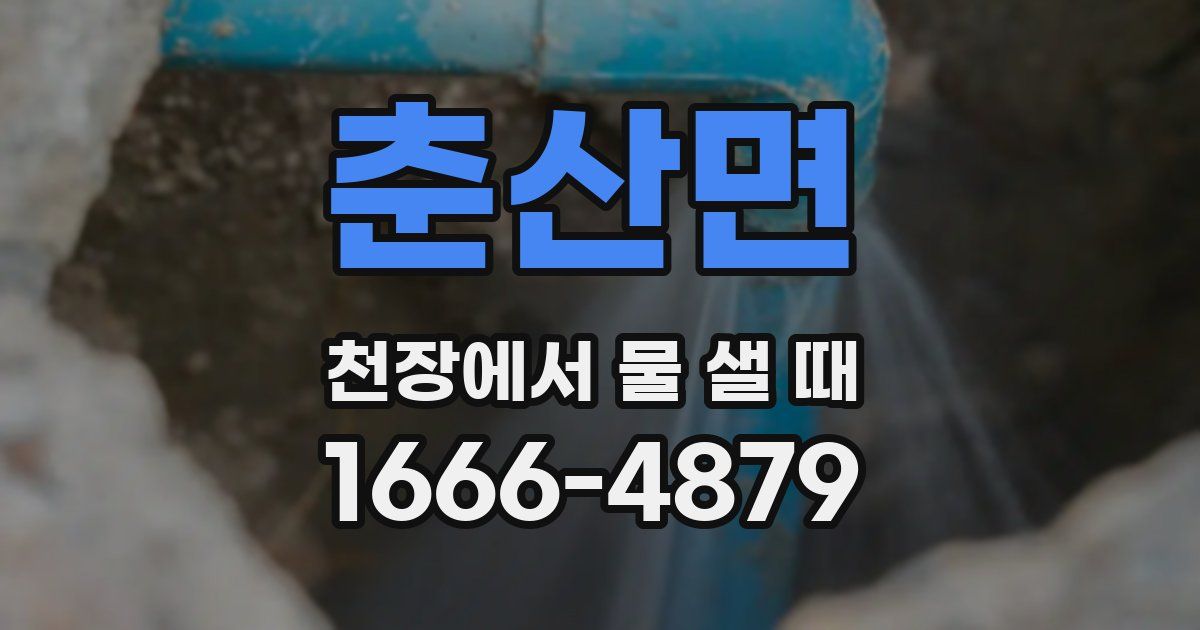 춘산면 천장에서 물 샐 때