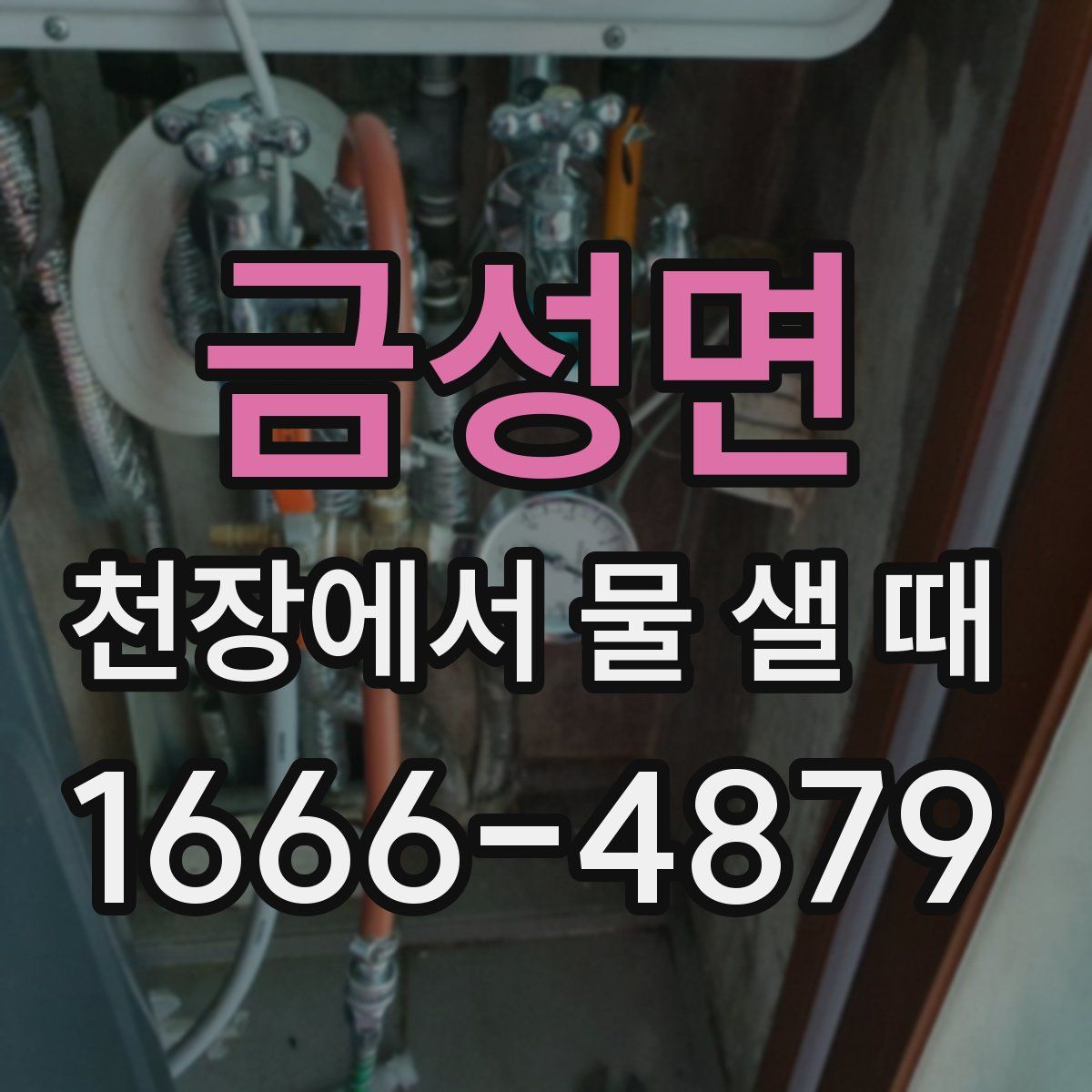 금성면 천장에서 물 샐 때