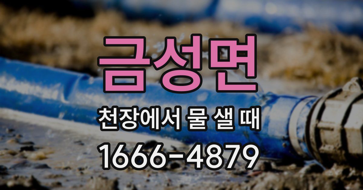 금성면 천장에서 물 샐 때