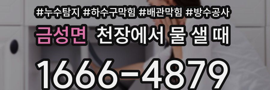 금성면 천장에서 물 샐 때