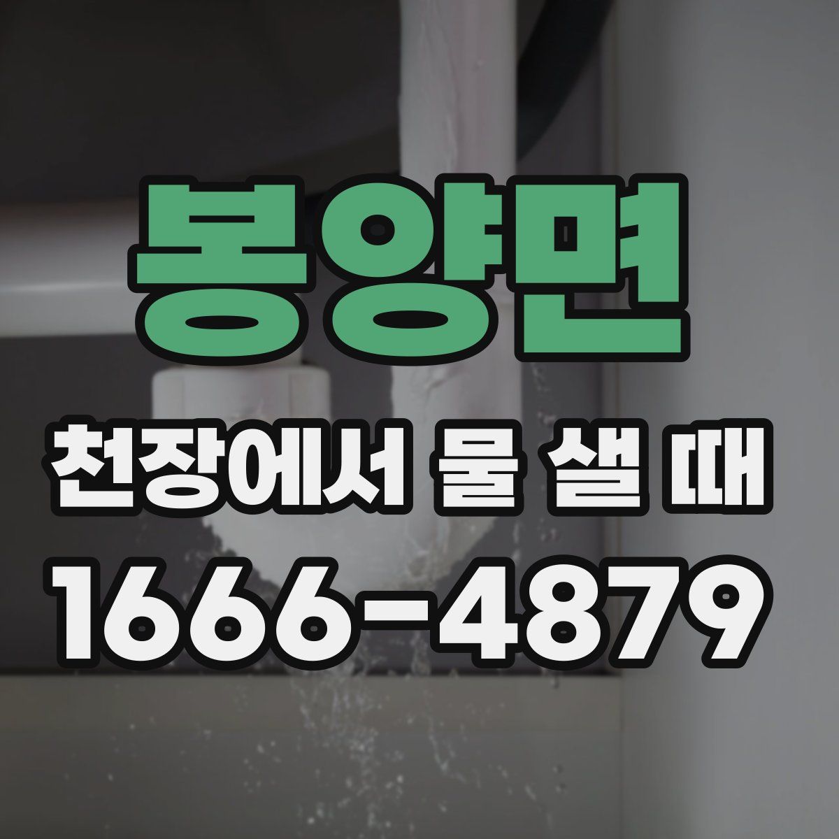 봉양면 천장에서 물 샐 때