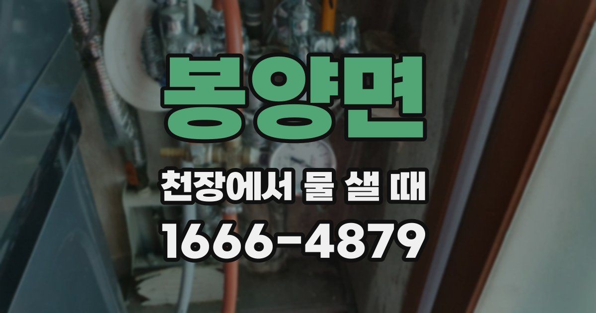 봉양면 천장에서 물 샐 때